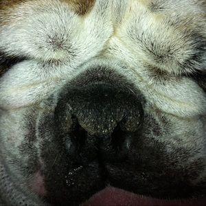 Meet your Posher, Jimmy